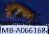  ( - MB-A066168)  @11 [ ] CreativeCommons - Attribution Non-Commercial Share-Alike (2014) Jannes Landschoff University of Cape Town