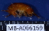  ( - MB-A066169)  @11 [ ] CreativeCommons - Attribution Non-Commercial Share-Alike (2014) Jannes Landschoff University of Cape Town