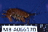  ( - MB-A066170)  @11 [ ] CreativeCommons - Attribution Non-Commercial Share-Alike (2014) Jannes Landschoff University of Cape Town