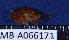  ( - MB-A066171)  @11 [ ] CreativeCommons - Attribution Non-Commercial Share-Alike (2014) Jannes Landschoff University of Cape Town