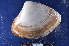  ( - MB-A066232)  @11 [ ] CreativeCommons - Attribution Non-Commercial Share-Alike (2014) Jannes Landschoff University of Cape Town