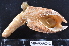  ( - MB-A066242)  @11 [ ] CreativeCommons - Attribution Non-Commercial Share-Alike (2014) Jannes Landschoff University of Cape Town