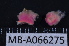  ( - MB-A066275)  @11 [ ] CreativeCommons - Attribution Non-Commercial Share-Alike (2014) Jannes Landschoff University of Cape Town