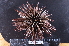  ( - MB-A066379)  @11 [ ] CreativeCommons  Attribution Non-Commercial Share-Alike (2014) Jannes Landschoff University of Cape Town