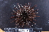  ( - MB-A066382)  @11 [ ] CreativeCommons  Attribution Non-Commercial Share-Alike (2014) Jannes Landschoff University of Cape Town
