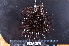  ( - MB-A066383)  @11 [ ] CreativeCommons  Attribution Non-Commercial Share-Alike (2014) Jannes Landschoff University of Cape Town