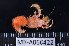  ( - MB-A066422)  @11 [ ] CreativeCommons  Attribution Non-Commercial Share-Alike (2014) Jannes Landschoff University of Cape Town