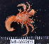  ( - MB-A066425)  @11 [ ] CreativeCommons  Attribution Non-Commercial Share-Alike (2014) Jannes Landschoff University of Cape Town