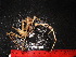  ( - MB-A066443)  @11 [ ] Unspecified (default): All Rights Reserved  Unspecified Unspecified