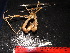  ( - MB-A066443)  @11 [ ] Unspecified (default): All Rights Reserved  Unspecified Unspecified