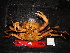  ( - MB-A066462)  @11 [ ] Unspecified (default): All Rights Reserved  Unspecified Unspecified