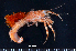  ( - MB-A066758)  @11 [ ] CreativeCommons  Attribution Non-Commercial Share-Alike (2014) Jannes Landschoff University of Cape Town
