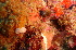  ( - SODMS01)  @11 [ ] CreativeCommons - Attribution Non-Commercial No Derivatives (2014) J. Toms Stellenbosch University