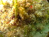  ( - SUN_CW41)  @11 [ ] CreativeCommons - Attribution Non-Commercial No Derivatives (2015) Jessica Toms Stellenbosch University