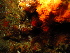  ( - SUN_TC54)  @11 [ ] CreativeCommons - Attribution Non-Commercial No Derivatives (2015) Jessica Toms Stellenbosch University