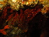  ( - SUN_TC55)  @11 [ ] CreativeCommons - Attribution Non-Commercial No Derivatives (2015) Jessica Toms Stellenbosch University