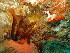  ( - SUN_TC57)  @11 [ ] CreativeCommons - Attribution Non-Commercial No Derivatives (2015) Jessica Toms Stellenbosch University
