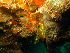  ( - SUN_TC58)  @11 [ ] CreativeCommons - Attribution Non-Commercial No Derivatives (2015) Jessica Toms Stellenbosch University