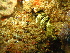  ( - SUN_TC59)  @11 [ ] CreativeCommons - Attribution Non-Commercial No Derivatives (2015) Jessica Toms Stellenbosch University