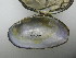  ( - AradChi006)  @11 [ ] Unspecified (default): All Rights Reserved  Unspecified Unspecified