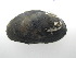  ( - AradChi006)  @11 [ ] Unspecified (default): All Rights Reserved  Unspecified Unspecified