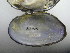  ( - AradChi007)  @11 [ ] Unspecified (default): All Rights Reserved  Unspecified Unspecified