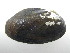  ( - AradChi007)  @11 [ ] Unspecified (default): All Rights Reserved  Unspecified Unspecified