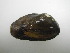  ( - AradChi008)  @11 [ ] Unspecified (default): All Rights Reserved  Unspecified Unspecified