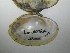  ( - LornEsc009)  @11 [ ] Unspecified (default): All Rights Reserved  Unspecified Unspecified