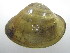  ( - LornEsc010)  @11 [ ] Unspecified (default): All Rights Reserved  Unspecified Unspecified