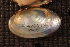  ( - VamyStj023)  @11 [ ] CreativeCommons - Attribution Non-Commercial No Derivatives (2014) Nathan A. Johnson USGS