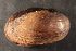  ( - LstrYel077)  @11 [ ] CreativeCommons - Attribution Non-Commercial No Derivatives (2014) Nathan A. Johnson USGS