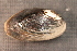  ( - VvilOch054)  @11 [ ] CreativeCommons - Attribution Non-Commercial No Derivatives (2014) Nathan A. Johnson USGS