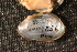  ( - VamyPea056)  @11 [ ] CreativeCommons - Attribution Non-Commercial No Derivatives (2014) Nathan A. Johnson USGS