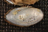  ( - HausCho021)  @11 [ ] CreativeCommons - Attribution Non-Commercial No Derivatives (2014) Nathan A. Johnson USGS