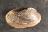  ( - VvilSuw071)  @11 [ ] CreativeCommons - Attribution Non-Commercial No Derivatives (2014) Nathan A. Johnson USGS