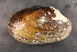  ( - LstrFli070)  @11 [ ] CreativeCommons - Attribution Non-Commercial No Derivatives (2014) Nathan A. Johnson USGS
