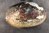  ( - LstrFli071)  @11 [ ] CreativeCommons - Attribution Non-Commercial No Derivatives (2014) Nathan A. Johnson USGS
