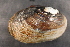  ( - LstrFli072)  @11 [ ] CreativeCommons - Attribution Non-Commercial No Derivatives (2014) Nathan A. Johnson USGS