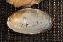  ( - VvilOch056)  @11 [ ] CreativeCommons - Attribution Non-Commercial No Derivatives (2014) Nathan A. Johnson USGS