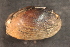  ( - LstrEsc025)  @11 [ ] CreativeCommons - Attribution Non-Commercial No Derivatives (2014) Nathan A. Johnson USGS