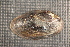  ( - VvilOch057)  @11 [ ] CreativeCommons - Attribution Non-Commercial No Derivatives (2014) Nathan A. Johnson USGS