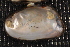  ( - UspeTom026)  @11 [ ] CreativeCommons - Attribution Non-Commercial No Derivatives (2014) Nathan A. Johnson USGS