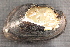  ( - UspeTom026)  @11 [ ] CreativeCommons - Attribution Non-Commercial No Derivatives (2014) Nathan A. Johnson USGS