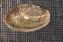  ( - VamyEve015)  @11 [ ] CreativeCommons - Attribution Non-Commercial No Derivatives (2014) Nathan A. Johnson USGS