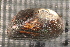  ( - UspeEve006)  @11 [ ] CreativeCommons - Attribution Non-Commercial No Derivatives (2014) Nathan A. Johnson USGS