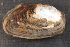  ( - UspeEve012)  @11 [ ] CreativeCommons - Attribution Non-Commercial No Derivatives (2014) Nathan A. Johnson USGS