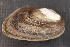  ( - UspeEve013)  @11 [ ] CreativeCommons - Attribution Non-Commercial No Derivatives (2014) Nathan A. Johnson USGS