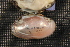  ( - MwalSuw011)  @11 [ ] CreativeCommons - Attribution Non-Commercial No Derivatives (2014) Nathan A. Johnson USGS