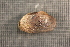  ( - MwalSuw010)  @11 [ ] CreativeCommons - Attribution Non-Commercial No Derivatives (2014) Nathan A. Johnson USGS